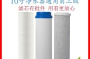 净水器右边滤芯破了怎么修（快速解决净水器右边滤芯破损问题）