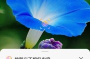 华为手机照片旋转功能怎么用？旋转后如何保存？
