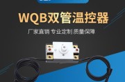 壁挂炉限温器故障及维修指南（解析壁挂炉限温器故障及应对方法）