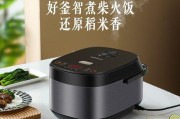 荣事达电饭煲故障代码及解决方法（了解荣事达电饭煲常见故障代码）
