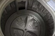 揭秘波轮洗衣机内部的隐秽（揭开看不见的地方）