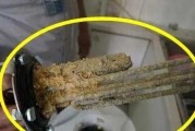 热水器不结水垢的解决方法（如何避免热水器结水垢）