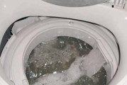 洗衣机不进水的原因及解决办法（洗衣机出现进水故障可能的原因和有效解决方法）