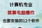 手机作为电脑上网软件的名称是什么？