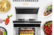 火星一号集成灶E2故障及解决方法（了解火星一号集成灶E2故障的原因和应对措施）