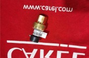 手机开发工具大揭秘（了解手机开发领域中最重要的工具和技术）