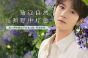 王源代言笔记本型号？哪款是其代言的？