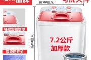解决单缸洗衣机漏水问题的有效方法（快速修理）