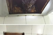 油烟机久未清洗，如何处理（如何清洗久未处理的油烟机）