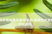 探究夏普热水器E1故障的原因及解决方法（热水器故障的常见表现和维修指南）