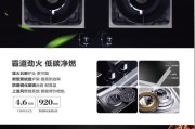 火星一号集成灶e2故障解析与排除方法（了解火星一号集成灶e2故障）