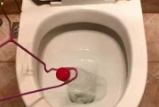 马桶堵了怎么办（解决马桶堵塞问题）