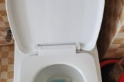 马桶通电没反应，该如何维修处理（解决裕津智能马桶通电无反应的故障）