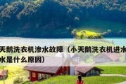 如何修理洗衣机不存水问题（排除故障的步骤）