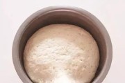 揉好的面团能放冰箱里吗（解答与保存技巧）