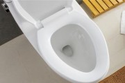 现代马桶冲水方式的选择与比较（马桶冲水方式的分类及优缺点）