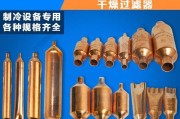冰箱过滤器更换方法（简单易行的步骤）