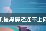 显示器有信号但黑屏问题的解决方法（信号正常）