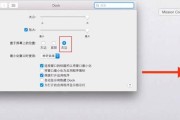 电脑图标大小如何调整？步骤是什么？
