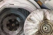 如何清洗滚筒洗衣机内桶内胆（一步步教你清洗滚筒洗衣机内桶内胆）
