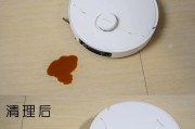 消除吸尘器臭味的有效方法（清除吸尘器异味的好办法）
