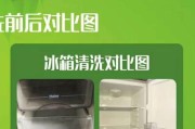 家电清洁指南（保持家居环境清洁与健康）