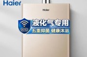 天然气热水器品牌推荐（选择最适合您家的热水器品牌）
