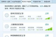 揭秘电脑网速慢的原因（探索引发电脑网速缓慢的诸多因素）