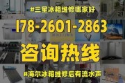 冰柜外壳修复指南（冰柜外壳修复技巧与方法）