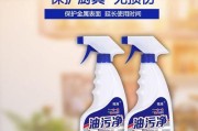 如何正确清洗油烟机，保持厨房清洁（掌握正确的清洗方法）