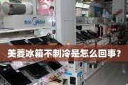 解决威力冰箱不制冷的问题（有效应对冰箱制冷失效的方法）