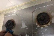 如何正确清洗抽油烟机（简单易行的抽油烟机清洗方法）