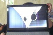 如何处理坏的显示器屏幕（教你修复或替换显示器屏幕的方法）