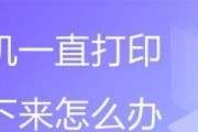 如何应对打印机出现打印字样的问题（解决打印机打印字样问题的有效方法）