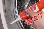 冰箱内霉菌清除方法（拯救你的冰箱）