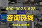 LG双开门冰箱照明灯不亮了的维修方法（快速解决问题）
