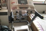以斯诺德跑步机故障分析与解决方法（探究以斯诺德跑步机常见故障及修复技巧）