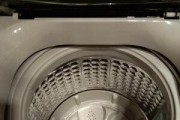 如何正确清洗松下波轮洗衣机（掌握清洗技巧）