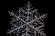 电视出现雪花问题的原因及解决方法（探究电视出现雪花的原因以及如何解决这一问题）