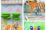 山羊模拟器三手机版获取鸵鸟的方法是什么？