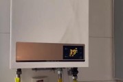 林内热水器结冰问题的解决方法（解决林内热水器结冰问题的实用技巧与建议）
