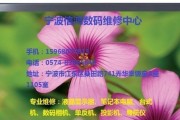 显示器调节失效怎么办（解决方法及常见故障排查）