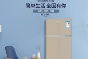 双门冰箱对比单门冰箱：哪种更适合您的家庭需求？