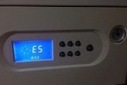 林内壁挂炉显示E5故障原因及在线维修方法（解析林内壁挂炉显示E5故障的原因和如何在线修复）
