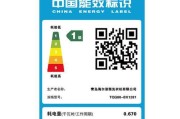 统帅全自动洗衣机FR故障解决指南（全面解析统帅全自动洗衣机FR故障及其修复方法）