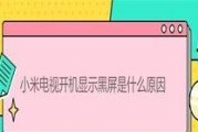 电视开机后黑屏的故障排除及解决方法（电视黑屏故障的原因分析与处理方法）