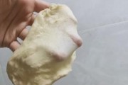 面包机面出不来膜怎么办（解决面包机面出不来膜问题的实用方法）