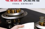厨房抽油烟机清洗剂的正确使用方法（让你的抽油烟机焕然一新）