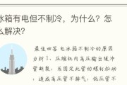 冰柜高压管不热的原因及解决方法（了解冰柜高压管不热的原因）