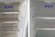 去除冰箱冷冻室里鱼虾味的有效方法（清洁、除味、保持新鲜）